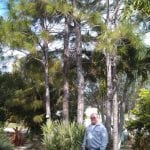 article image -
